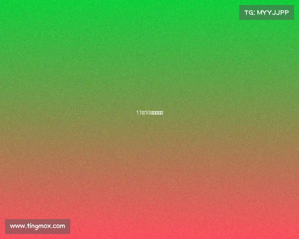 11月10号什么比赛