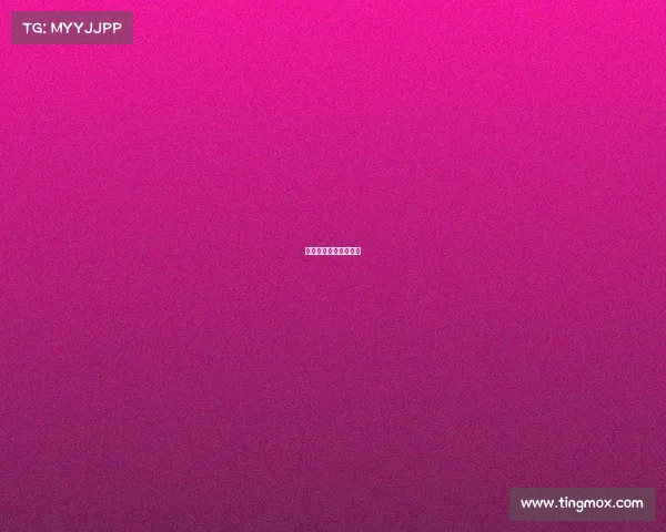 上海五一最新赛事新闻