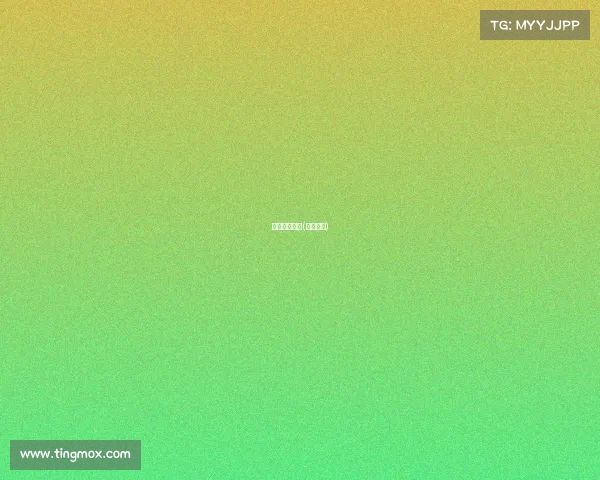 主球赛事级别(球赛等级)