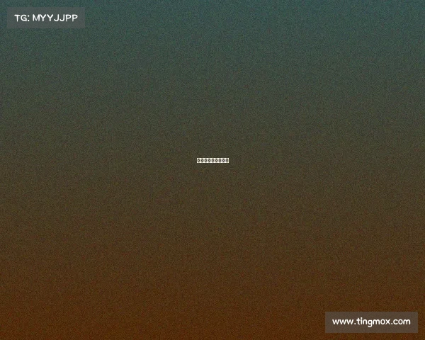 全国女排赛事有哪些