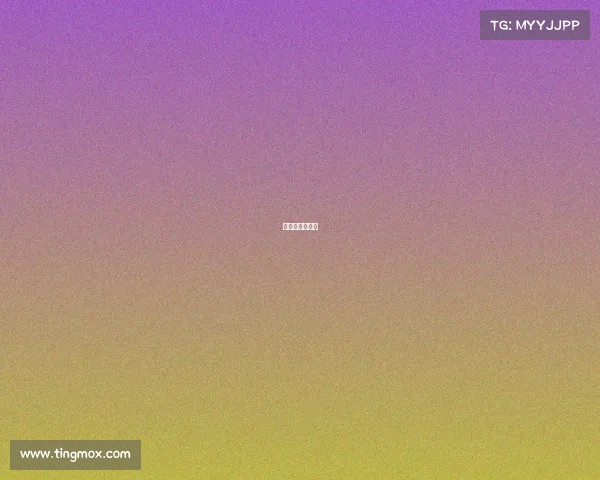 关于网球的比赛